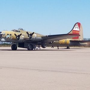 Meet your Posher, F e frank